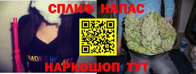гидра Краснознаменск